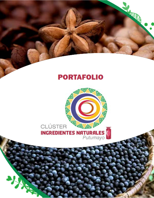 Estudios de mercado y otras herramientas de cara a las oportunidades del mercado  